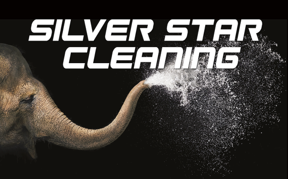 SilverstarCleaning
